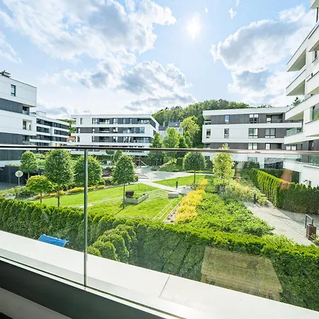 Konstelacja Gwiazd 格丁尼亚